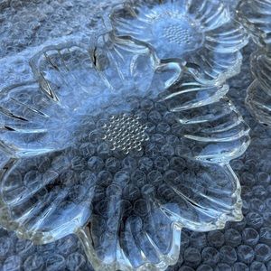 2 Floral Glass Plates
